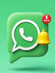 Alertes WhatsApp - QRBag